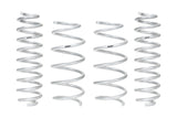 PRO-LIFT-KIT Springs (Front & Rear Springs)