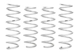 PRO-LIFT-KIT Springs (Front & Rear Springs)