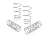 PRO-LIFT-KIT Springs (Front & Rear Springs)