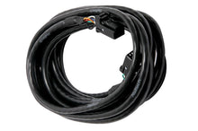 Load image into Gallery viewer, Haltech CAN Cable 8 pin Blk Tyco 8 pin Blk Tyco 300mm (12 In.).