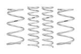 PRO-LIFT-KIT Springs (Front & Rear Springs)