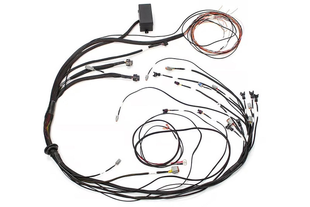 Elite 2000/2500 GM GEN IV LS2 non DBW Term Harness Only EV6