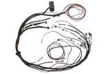 Elite 2000/2500 GM GEN IV LS2 non DBW Term Harness Only EV6