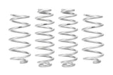 PRO-LIFT-KIT Springs (Front & Rear Springs)