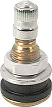 Load image into Gallery viewer, Brass Valve Stems Bolt In 10pk