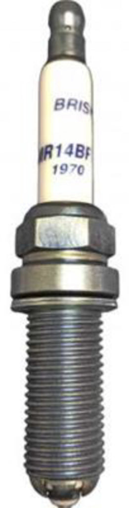 Spark Plug Premium Evo