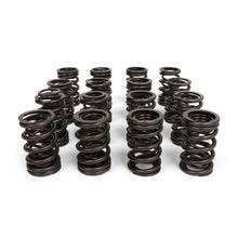 Load image into Gallery viewer, Blox Racing Valve Springs - K-Series