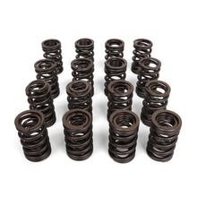 Load image into Gallery viewer, Blox Racing Valve Springs - K-Series