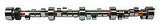 Solid Camshaft - SBC C/T 288FDP