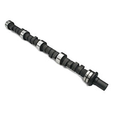 Load image into Gallery viewer, Hydraulic Camshaft - Buick 215-340 258HDP