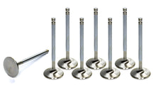 Load image into Gallery viewer, Exhaust Valves 8pk 1.880 x 5.450