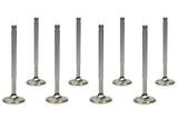 SBC C/P 1.600 Exhaust Valves 11/32 5.300 OAL