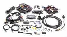 Load image into Gallery viewer, Engine Control Kit EZ- EFI 2.0 LS Self Tuning