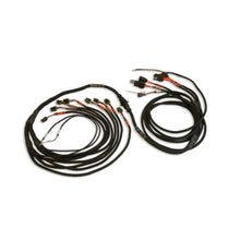 Load image into Gallery viewer, PRO550/600 V8 Smart Coil Harness