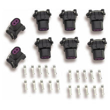 Load image into Gallery viewer, Delphi Injector Terminal &amp; Connector Kit 8pk