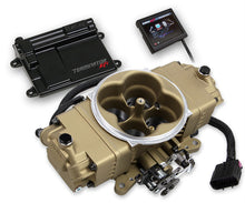 Load image into Gallery viewer, Terminator Stealth EFI Kit  Classic Gold Finish