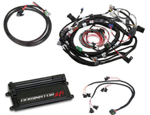 Load image into Gallery viewer, Dominator EFI Kit - Ford w/COP