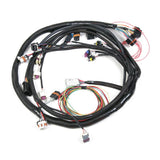 Main Wiring Harness LS2 & LS3