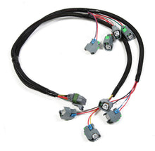 Load image into Gallery viewer, Injector Wiring Harness V8 EV6 Style Injectors