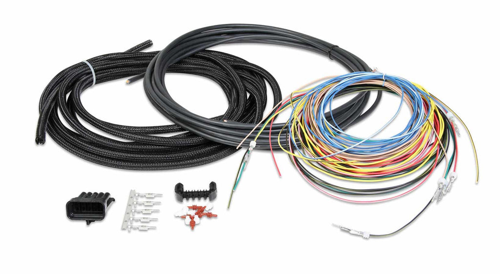 Universal EFI Ignition Harness un-terminated