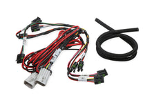 Load image into Gallery viewer, Coil-Near-Plug Sub Harness - Big Wire