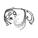 Elite 2500 & REM 16 GM SBC/BBC Terminated Harness Only