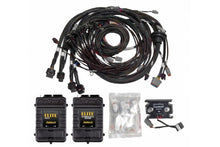 Load image into Gallery viewer, Elite REM V8 Big/Small Block Terminated Harness Kit - EV1