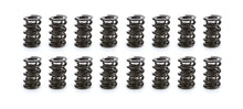 Load image into Gallery viewer, 1.600 Triple Valve Spring Set (16)