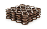 1.490 Valve Springs