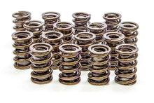 Load image into Gallery viewer, 1.530 Endurance Plus Dual Valve Springs  16pk