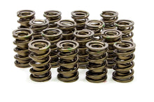 Load image into Gallery viewer, 1.534 Valve Springs