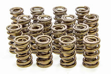 Load image into Gallery viewer, 1.625 Valve Springs