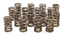 Load image into Gallery viewer, 1.450in Valve Springs