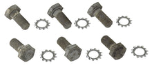 Load image into Gallery viewer, 12 Pt Flywheel Bolts