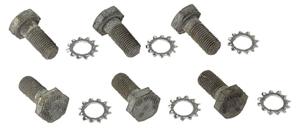 12 Pt Flywheel Bolts