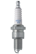 Load image into Gallery viewer, NGK Spark Plug Stock # 3923