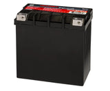 Powersports Battery 12V 220CCA