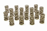 1.324 Dual Valve Springs - RPM Series (16)