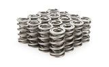 1.324 Dual Valve Springs - RPM Series (16)