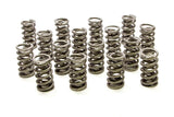 Dual Valve Springs - (16) GM LS