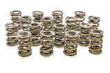 1.625 Dual Valve Springs - (16)