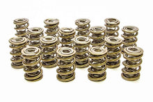 Load image into Gallery viewer, 1.645 Triple Valve Springs - (16)