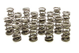 1.500 Dual Valve Springs - (16)