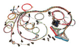 98-02 GM LS1 Fuel Inj. Wiring Harness