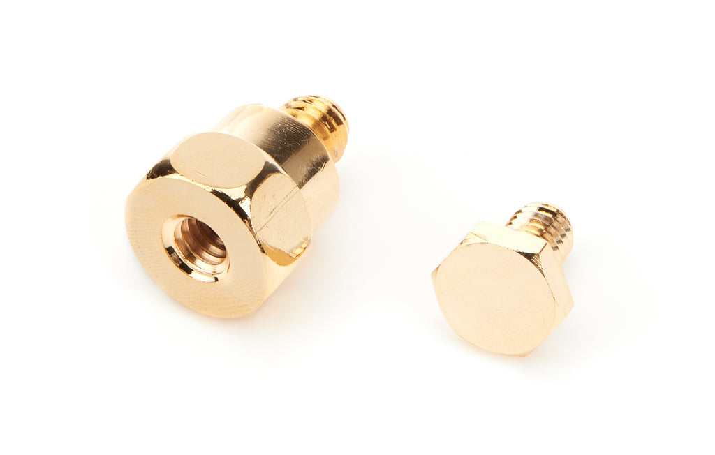 Battery Terminals Side Mount Gold Bolt (Pair)