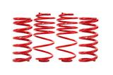 Suspension Struts / Shock Absorbers / Coil Springs / Camber Plate Kit