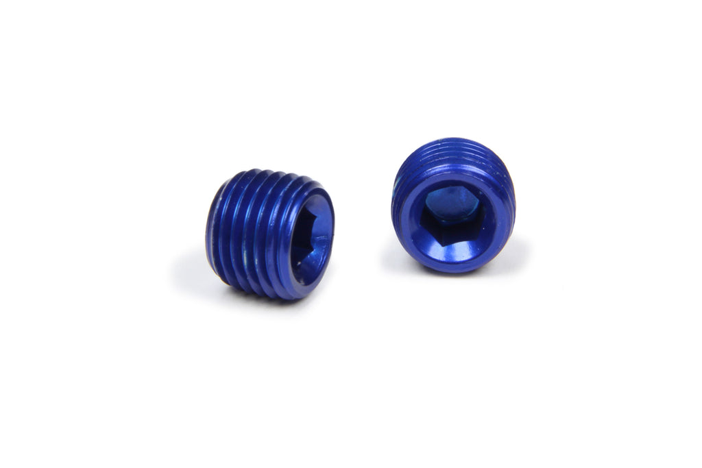 1/4in Allen Head Pipe Plug (2pk)