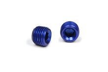 Load image into Gallery viewer, 1/4in Allen Head Pipe Plug (2pk)