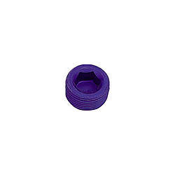 1in Pipe Plug (Allen)