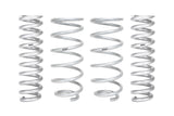 PRO-LIFT-KIT Springs (Front & Rear Springs)